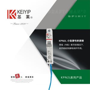 KPN2L小型漏电断路器